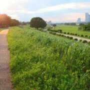 ヒメ日記 2025/05/08 14:48 投稿 中島千鶴子(ちづこ) 東京不倫～とうきょうふりん～