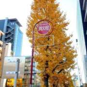 中島千鶴子(ちづこ) 今年も残りわずか！ 東京不倫～とうきょうふりん～