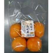 ヒメ日記 2026/01/04 13:58 投稿 中島千鶴子(ちづこ) 東京不倫～とうきょうふりん～