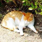 ヒメ日記 2026/01/13 14:48 投稿 中島千鶴子(ちづこ) 東京不倫～とうきょうふりん～