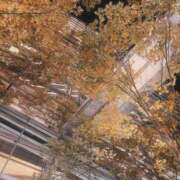 ヒメ日記 2025/11/18 05:30 投稿 藤崎美奈 ローテンブルク