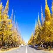 ヒメ日記 2025/12/05 10:47 投稿 藤崎美奈 ローテンブルク