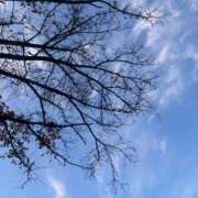 ヒメ日記 2025/12/10 06:43 投稿 藤崎美奈 ローテンブルク