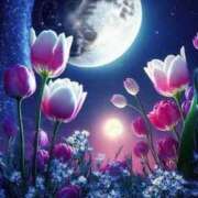 ヒメ日記 2025/12/25 23:00 投稿 藤崎美奈 ローテンブルク