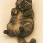 ヒメ日記 2026/01/03 22:12 投稿 藤崎美奈 ローテンブルク