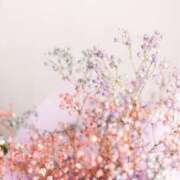 ヒメ日記 2026/01/14 01:40 投稿 藤崎美奈 ローテンブルク