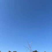 ヒメ日記 2026/01/29 12:01 投稿 藤崎美奈 ローテンブルク