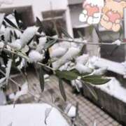 ヒメ日記 2026/02/08 14:00 投稿 藤崎美奈 ローテンブルク