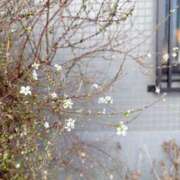 ヒメ日記 2026/02/10 12:52 投稿 藤崎美奈 ローテンブルク