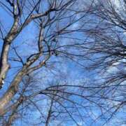 ヒメ日記 2026/02/12 11:37 投稿 藤崎美奈 ローテンブルク