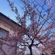 ヒメ日記 2026/02/21 15:18 投稿 藤崎美奈 ローテンブルク