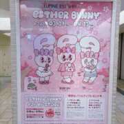 ヒメ日記 2026/03/23 12:29 投稿 藤崎美奈 ローテンブルク