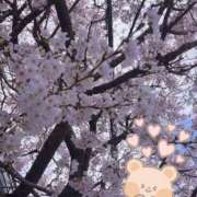 ヒメ日記 2026/03/28 13:58 投稿 藤崎美奈 ローテンブルク