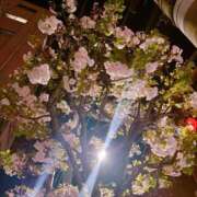 ヒメ日記 2026/04/04 00:13 投稿 藤崎美奈 ローテンブルク