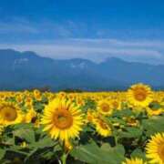 ヒメ日記 2026/08/06 22:23 投稿 藤崎美奈 ローテンブルク