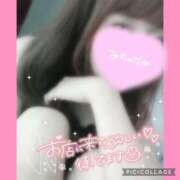 ヒメ日記 2024/12/28 12:02 投稿 黒木　しほ NADIA神戸店