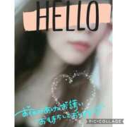 ヒメ日記 2025/02/09 14:41 投稿 黒木　しほ NADIA神戸店