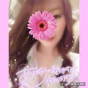 ヒメ日記 2025/02/11 14:51 投稿 黒木　しほ NADIA神戸店