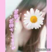 ヒメ日記 2025/02/22 13:42 投稿 黒木　しほ NADIA神戸店