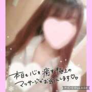 ヒメ日記 2025/02/24 13:21 投稿 黒木　しほ NADIA神戸店