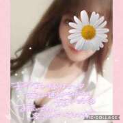 ヒメ日記 2025/02/26 15:01 投稿 黒木　しほ NADIA神戸店