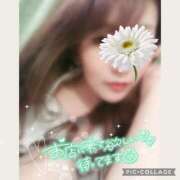 ヒメ日記 2025/03/06 13:33 投稿 黒木　しほ NADIA神戸店