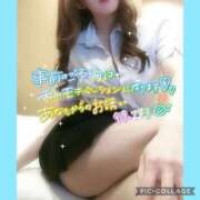 ヒメ日記 2025/03/09 23:22 投稿 黒木　しほ NADIA神戸店