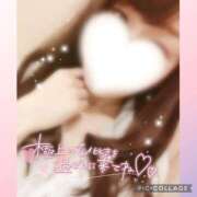 ヒメ日記 2025/03/13 17:51 投稿 黒木　しほ NADIA神戸店