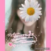 ヒメ日記 2025/03/15 14:02 投稿 黒木　しほ NADIA神戸店