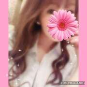 ヒメ日記 2025/03/16 14:21 投稿 黒木　しほ NADIA神戸店