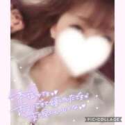 ヒメ日記 2025/04/10 14:11 投稿 黒木　しほ NADIA神戸店