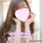 ヒメ日記 2025/04/13 15:31 投稿 黒木　しほ NADIA神戸店