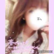 ヒメ日記 2025/04/16 12:51 投稿 黒木　しほ NADIA神戸店