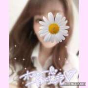 ヒメ日記 2025/04/16 17:57 投稿 黒木　しほ NADIA神戸店