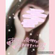 ヒメ日記 2025/04/20 12:41 投稿 黒木　しほ NADIA神戸店