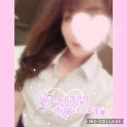 ヒメ日記 2025/04/23 17:51 投稿 黒木　しほ NADIA神戸店