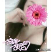 ヒメ日記 2025/04/27 14:21 投稿 黒木　しほ NADIA神戸店