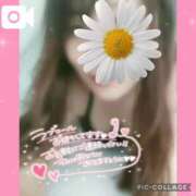 ヒメ日記 2025/04/28 11:02 投稿 黒木　しほ NADIA神戸店