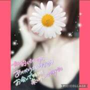 ヒメ日記 2025/05/19 14:03 投稿 黒木　しほ NADIA神戸店