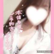 ヒメ日記 2025/05/21 10:53 投稿 黒木　しほ NADIA神戸店