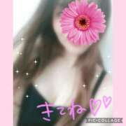 ヒメ日記 2025/07/22 13:02 投稿 黒木　しほ NADIA神戸店