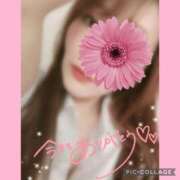 ヒメ日記 2025/07/26 19:31 投稿 黒木　しほ NADIA神戸店