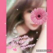 ヒメ日記 2025/07/30 14:41 投稿 黒木　しほ NADIA神戸店