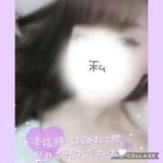 ヒメ日記 2025/08/24 13:51 投稿 黒木　しほ NADIA神戸店