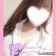 ヒメ日記 2025/10/06 12:31 投稿 黒木　しほ NADIA神戸店