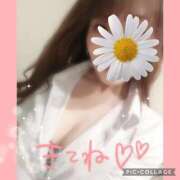 ヒメ日記 2025/10/26 14:51 投稿 黒木　しほ NADIA神戸店