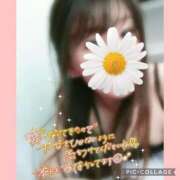 ヒメ日記 2025/11/22 13:41 投稿 黒木　しほ NADIA神戸店