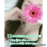 ヒメ日記 2025/12/27 15:51 投稿 黒木　しほ NADIA神戸店