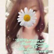 ヒメ日記 2026/01/12 17:01 投稿 黒木　しほ NADIA神戸店