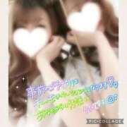 ヒメ日記 2026/01/15 11:51 投稿 黒木　しほ NADIA神戸店